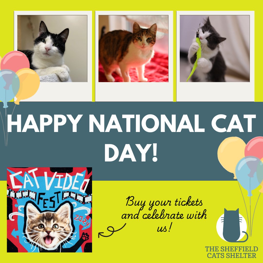 Sheffield Cats Shelter (@catsshelter) on Twitter photo 🐾Happy National Cat Day!🐾
Tonight to celebrate, we’re going to be at the screening of <a href="/CatVideoFest/">ᑕᗩT ᐯiᗪE0 ᖴEᏕT 😺</a> at 5.50pm to watch the best cat videos🎞️
Please head to the Odeon Sheffield website to get yours. 10% of all ticket sales go directly to supporting our cats🐈⬛ 🐾Happy National Cat Day!🐾
Tonight to celebrate, we’re going to be at the screening of <a href="/CatVideoFest/">ᑕᗩT ᐯiᗪE0 ᖴEᏕT 😺</a> at 5.50pm to watch the best cat videos🎞️
Please head to the Odeon Sheffield website to get yours. 10% of all ticket sales go directly to supporting our cats🐈⬛