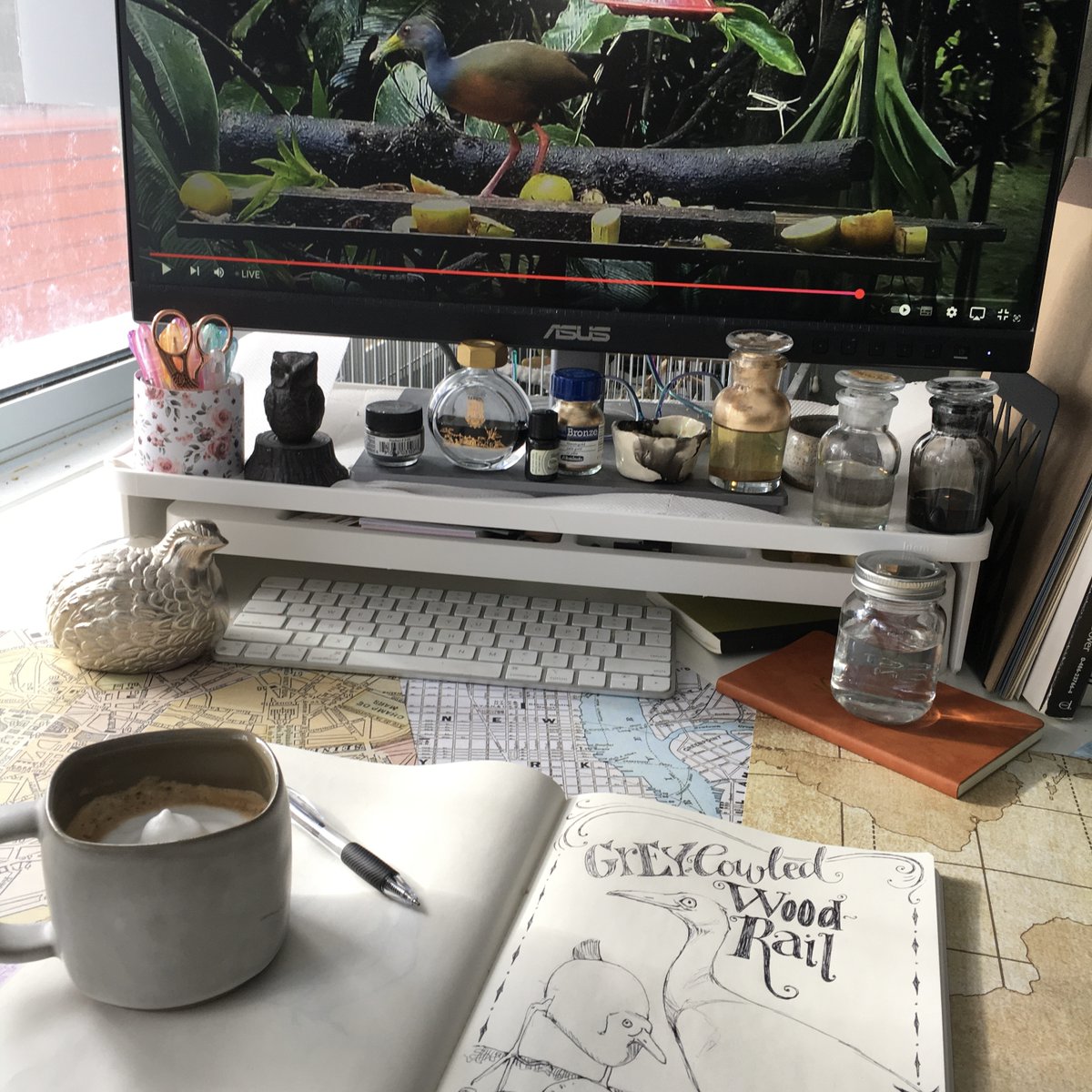 ChristyObalek's tweet photo. Two of my favourite things on a snowy day: sketching from the @canopyfamily bird feeder cam and sipping cappuccino with cinnamon. #panama #birds @cornellbirds #birds #tropicalbirds #sketchbook #sketch #birodrawing #ballpointpenart #illustration #ink #handlettering #typeography https://t.co/3wX2CcfXdB