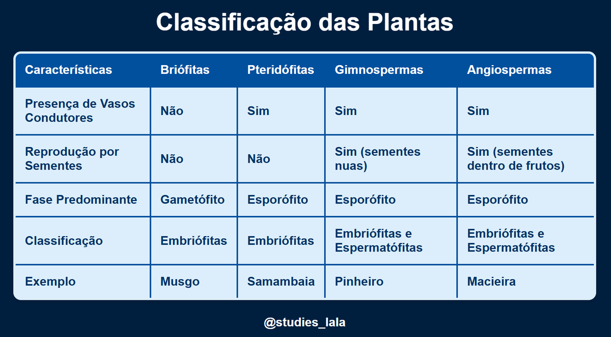 studies_lala's tweet photo. Tabelinha de classificação das plantas para botânica🌲 https://t.co/QMNdRZTX6w