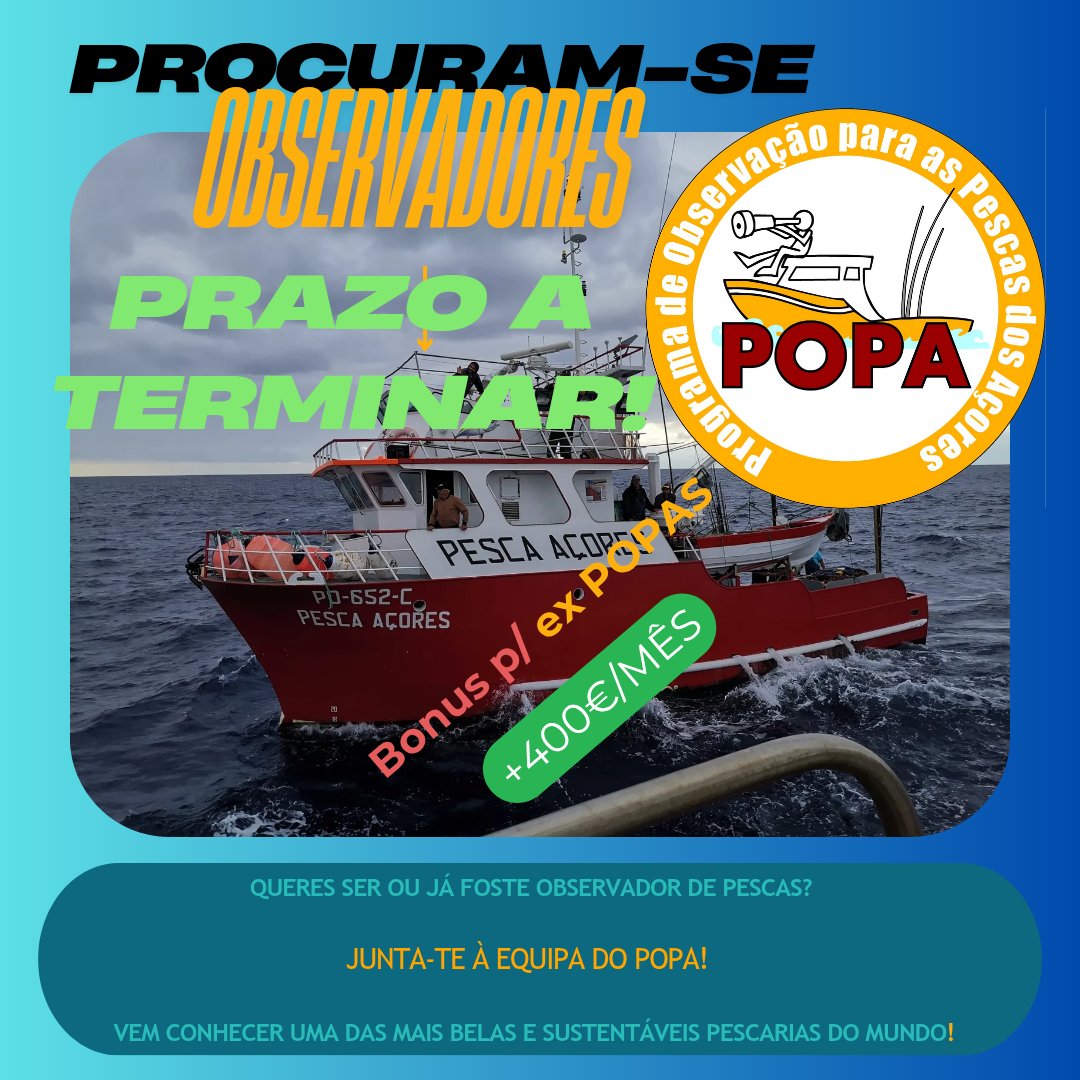 Programa Observação Pescas Açores (POPA) tweet media