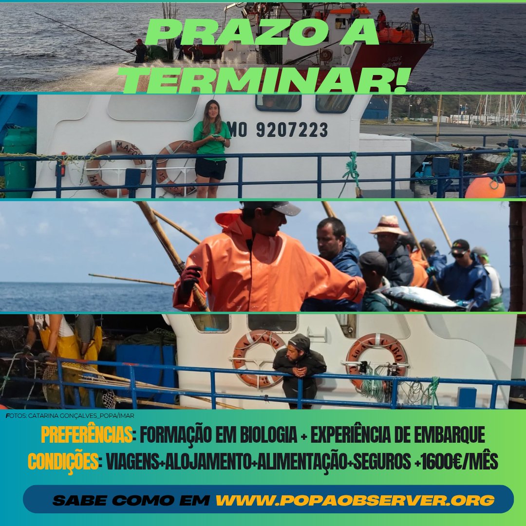 Programa Observação Pescas Açores (POPA) tweet media