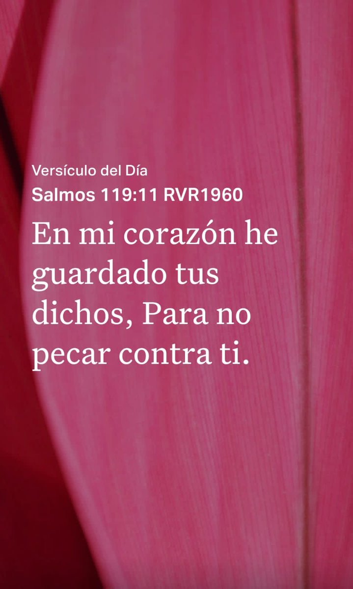 Mejoradas's tweet photo. https://t.co/v0jKFkwPsg