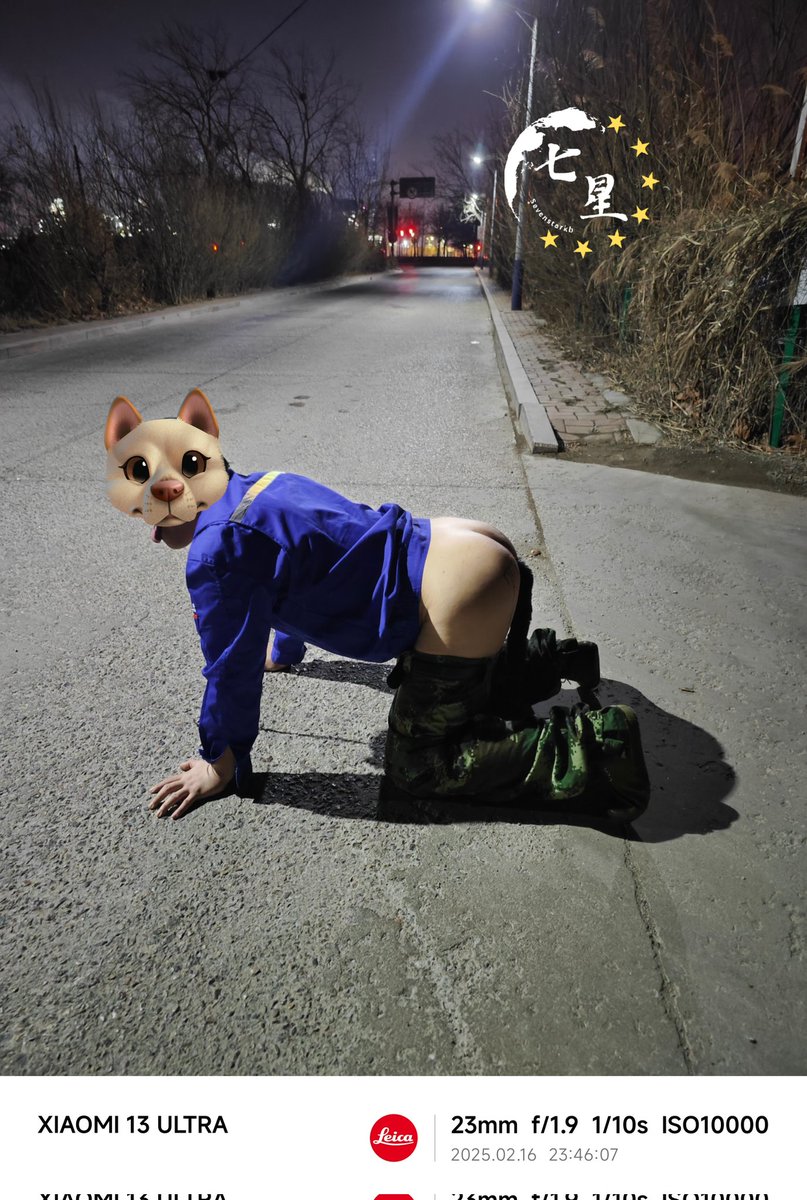 开工在大街溜骚狗