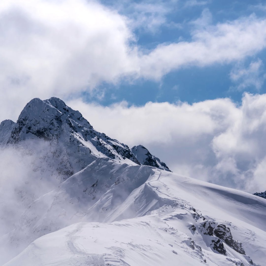 🌐 ᴛʜᴇᴘᴏʟᴀɴᴅɴᴇᴡs 🌐 tweet media