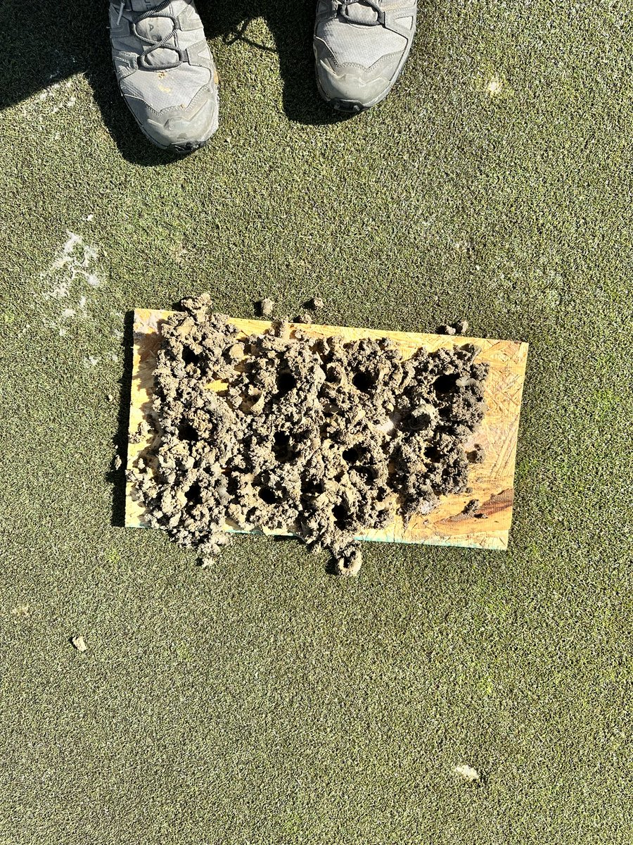 WarriorsPathGC tweet media