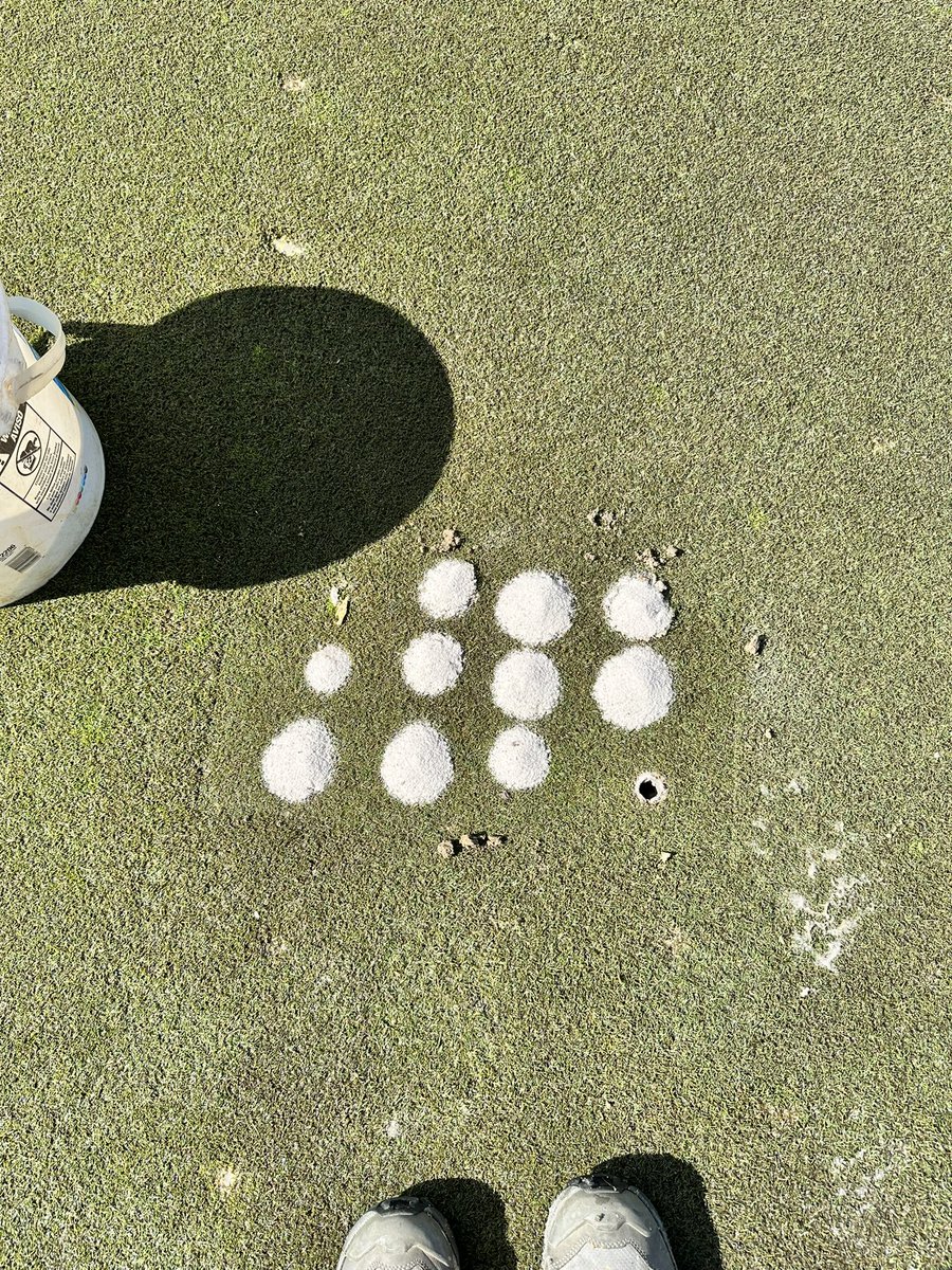 WarriorsPathGC tweet media