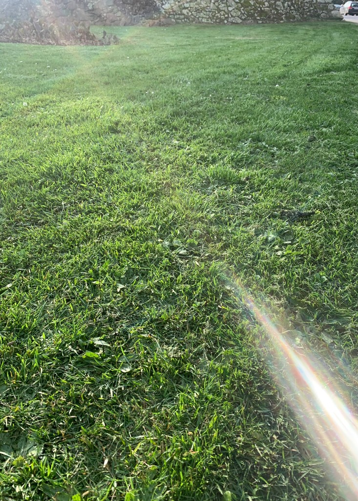 potsbysgtl's tweet image. Starting Monday off with fresh and sunny vibes! ☀️🌿

Book your first cut of the season now with Pots and let a pro take care of the hard work for you. 🌱💚

📲 Download the app &amp;amp; get started today!
getapp.potsbysgtl.com/8

#FindAGardener #Springsoon #mondaymorning