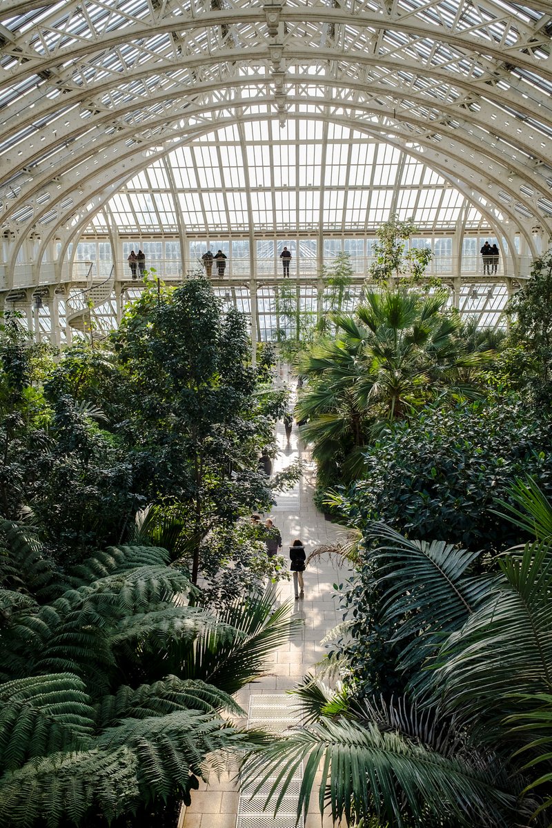 People watching at #kewgardens

#fsprintmonday #appicoftheweek