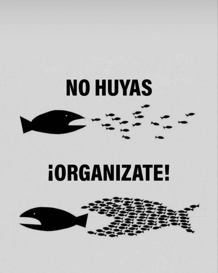 ElArteDeVivir__'s tweet photo. https://t.co/D9Lyk1dxy6