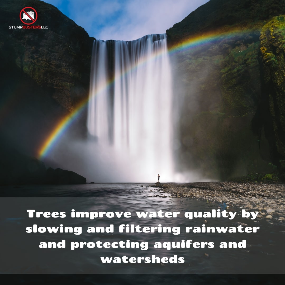 StumpBustersLLC (@llcstump) on Twitter photo 