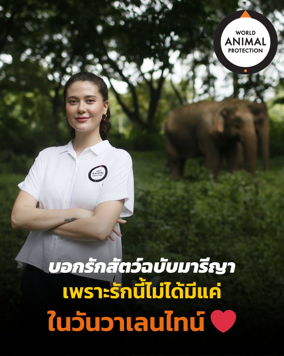 "ความรักที่แท้จริงไม่ใช่แค่ความรู้สึก แต่คือการลงมือทำเพื่อให้ชีวิตของสัตว์ดีขึ้น"

มาร่วมฟังเรื่องราวของมารีญา ที่บอกเล่าความรักผ่านการปกป้อง และเลือกใช้ชีวิตที่ไม่เบียดเบียนสัตว์

📖 อ่านบทสัมภาษณ์👉bit.ly/Maria-Valentin…