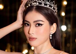 I learned a lot from reading this article. This article is a gem among online content. Luke Ambrogi