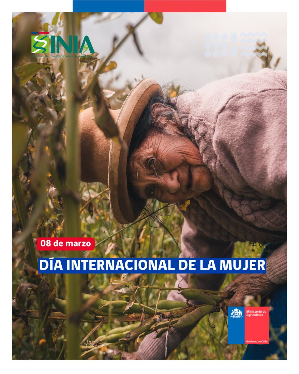Conmemoramos este #DiaInternacionalDeLaMujer  2025 destacando la labor de las mujeres que han dedicado toda su vida al mundo rural, cuidando y criando; aportando desde la ciencia y el conocimiento a cosechar alimentos para todos los hogares del país 🌻