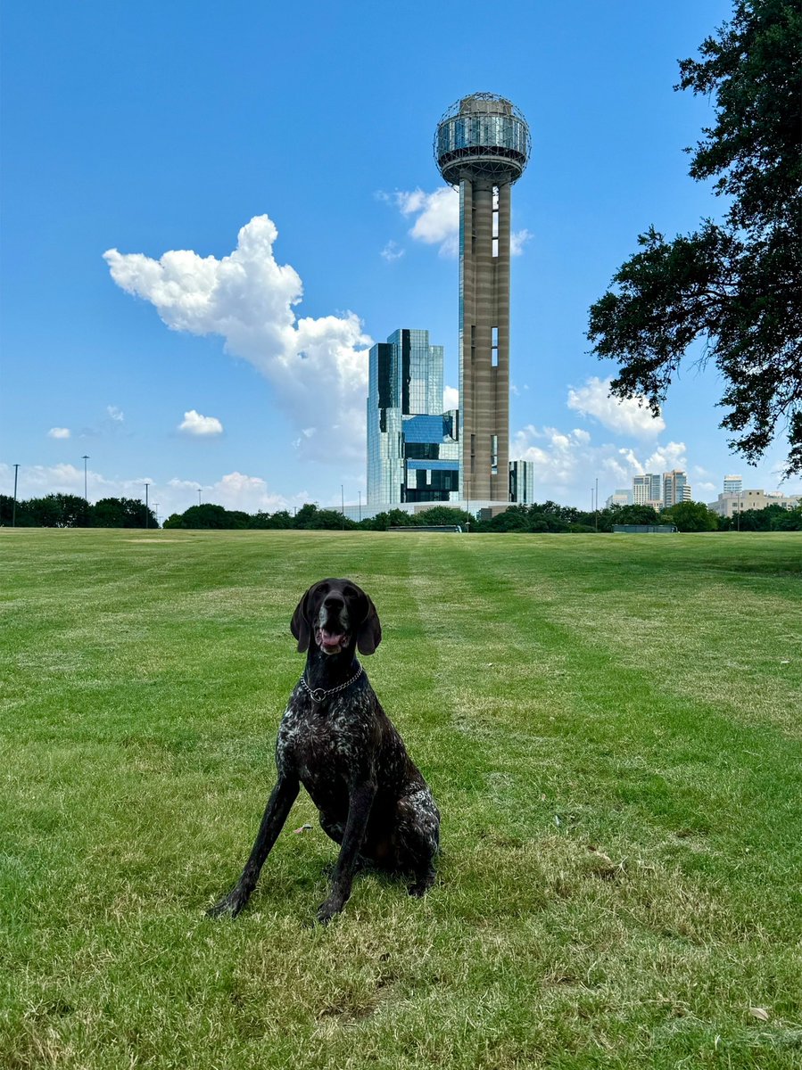 Angela Nordyke tweet media