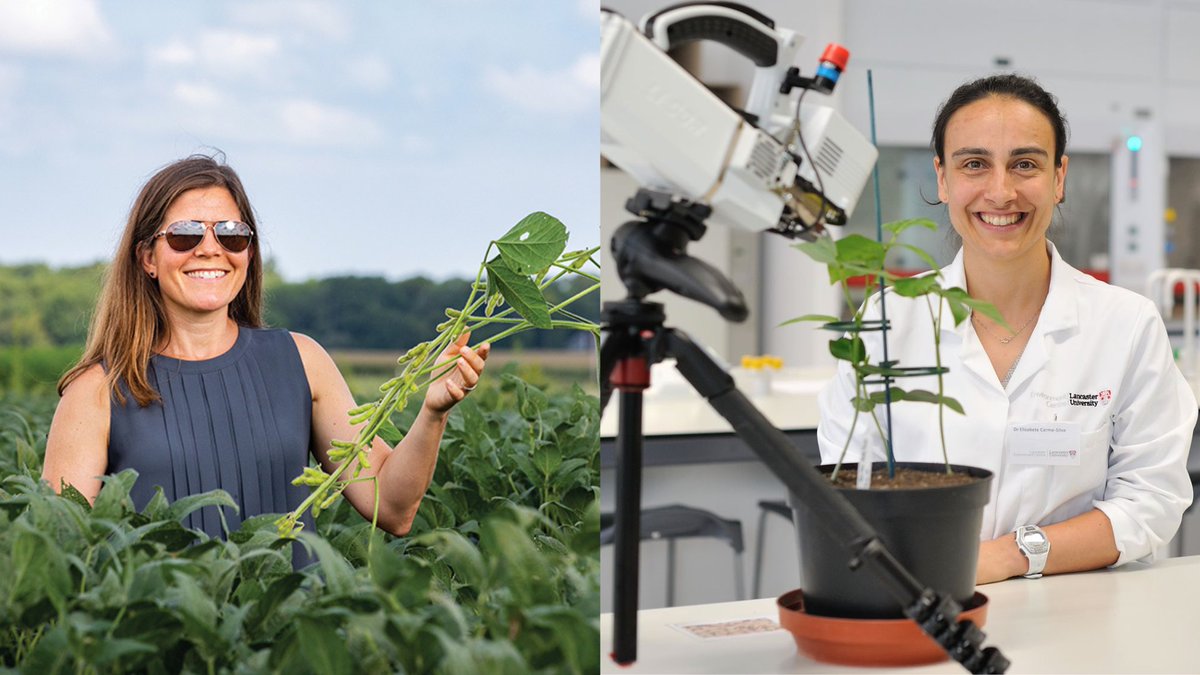 The RIPE Project (@ripeproject) on Twitter photo We are thrilled to announce our new leadership duo!
<a href="/ainsy28/">Lisa Ainsworth</a> is our Director & <a href="/ecarmosilva/">ElizabeteCarmo-Silva</a> is our Deputy Director!
Lisa & Elizabete have been with RIPE for years & we look forward to what we can accomplish under their guidance.
Full announcement here: bit.ly/42UuCtW We are thrilled to announce our new leadership duo!
<a href="/ainsy28/">Lisa Ainsworth</a> is our Director & <a href="/ecarmosilva/">ElizabeteCarmo-Silva</a> is our Deputy Director!
Lisa & Elizabete have been with RIPE for years & we look forward to what we can accomplish under their guidance.
Full announcement here: bit.ly/42UuCtW