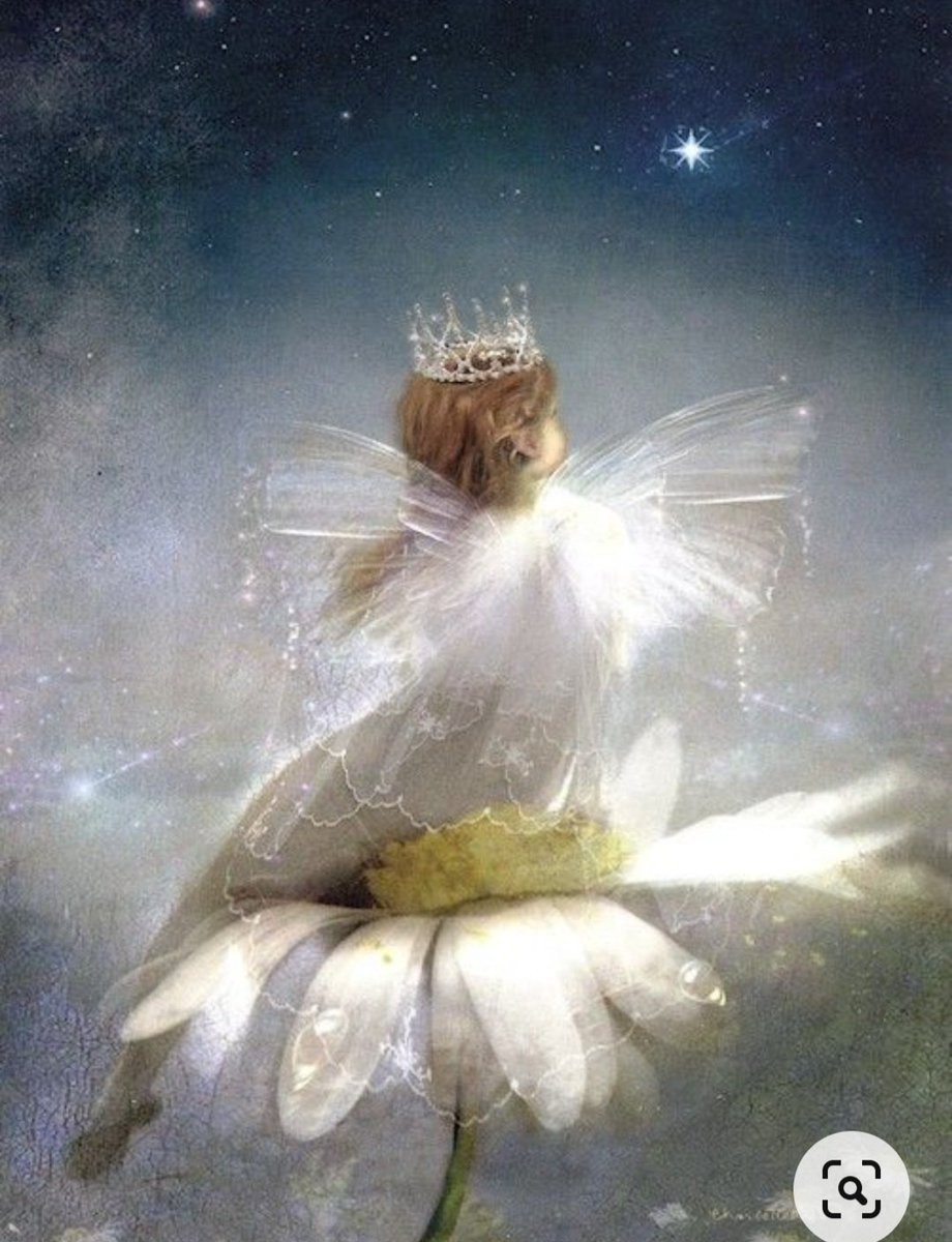 Eugénia 💫🍀 tweet media