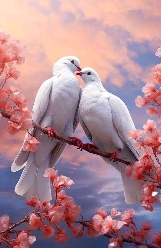 Lilylila55's tweet photo. ربي استودعتك اسمآ ينبض مع قلبي الف مرة واخاف عليه من كل شيء ، ربي احفظ لي روحآ تحيي ملامح سعادتي كل يوم ، هي سبب ضحكتي وكل فرحة تسكن قلبي ولا اقوى على العيش من دونها ، اللّهُم حرّم على قلبه حزن الحياة وتعبها و أسعد قلبه كما أسعد قلبي.♥️♥️" https://t.co/tyTsWtn5Yx