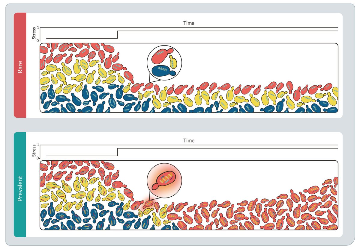 PRX Life tweet media