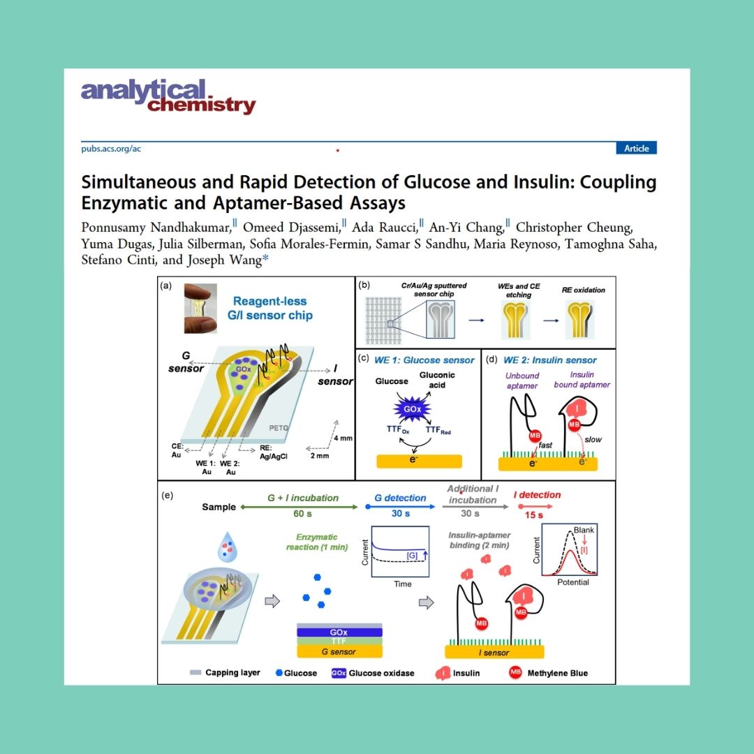 uninanobiosensors (@uninanobiosens) on Twitter photo Thrilled to share our dual biosensor for rapid insulin & glucose detection, now in #AnalyticalChemistry! 🎉
Huge thanks to <a href="/UCSanDiego/">UC San Diego</a> & co-authors: P. Nandhakumar, O. Djassemi, <a href="/AdaRaucci/">Ada Raucci</a> , A.-Y. Chang, <a href="/S_Cinti87/">Stefano cinti</a> & <a href="/JWangnano/">Joe Wang</a> .
#Biosensor #DiabetesCare #Electrochemistry #UCSD Thrilled to share our dual biosensor for rapid insulin & glucose detection, now in #AnalyticalChemistry! 🎉
Huge thanks to <a href="/UCSanDiego/">UC San Diego</a> & co-authors: P. Nandhakumar, O. Djassemi, <a href="/AdaRaucci/">Ada Raucci</a> , A.-Y. Chang, <a href="/S_Cinti87/">Stefano cinti</a> & <a href="/JWangnano/">Joe Wang</a> .
#Biosensor #DiabetesCare #Electrochemistry #UCSD