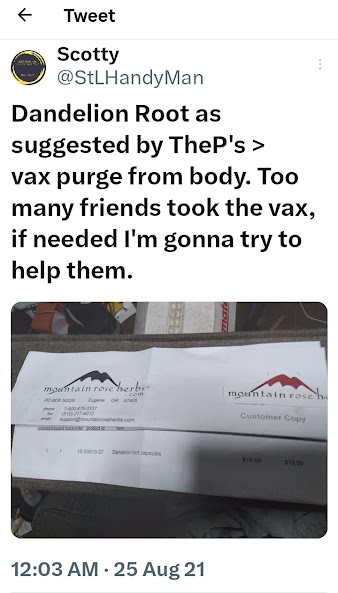 StLHandyMan's tweet image. its not a conspiracy when we have proof. #dandelionconspiracy #gotscience