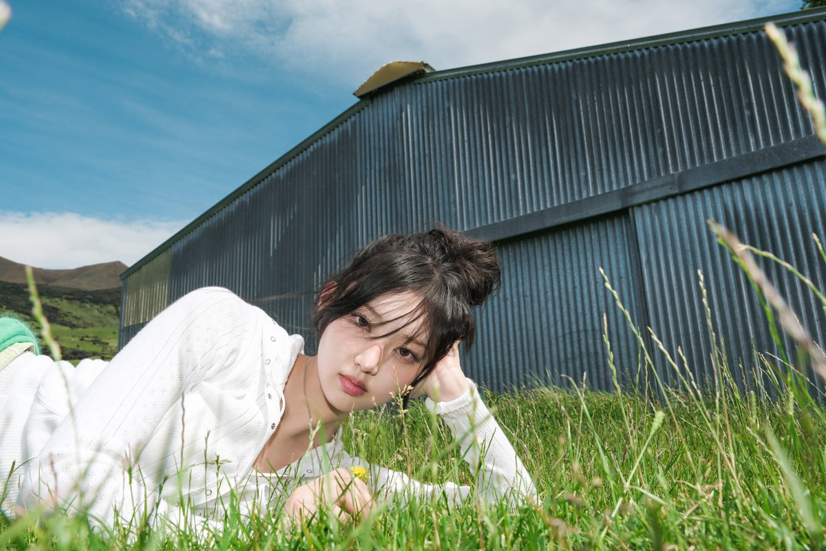 キム Front Drive Shaft CV Axle Assembly Yamaha | NICHE PARTS