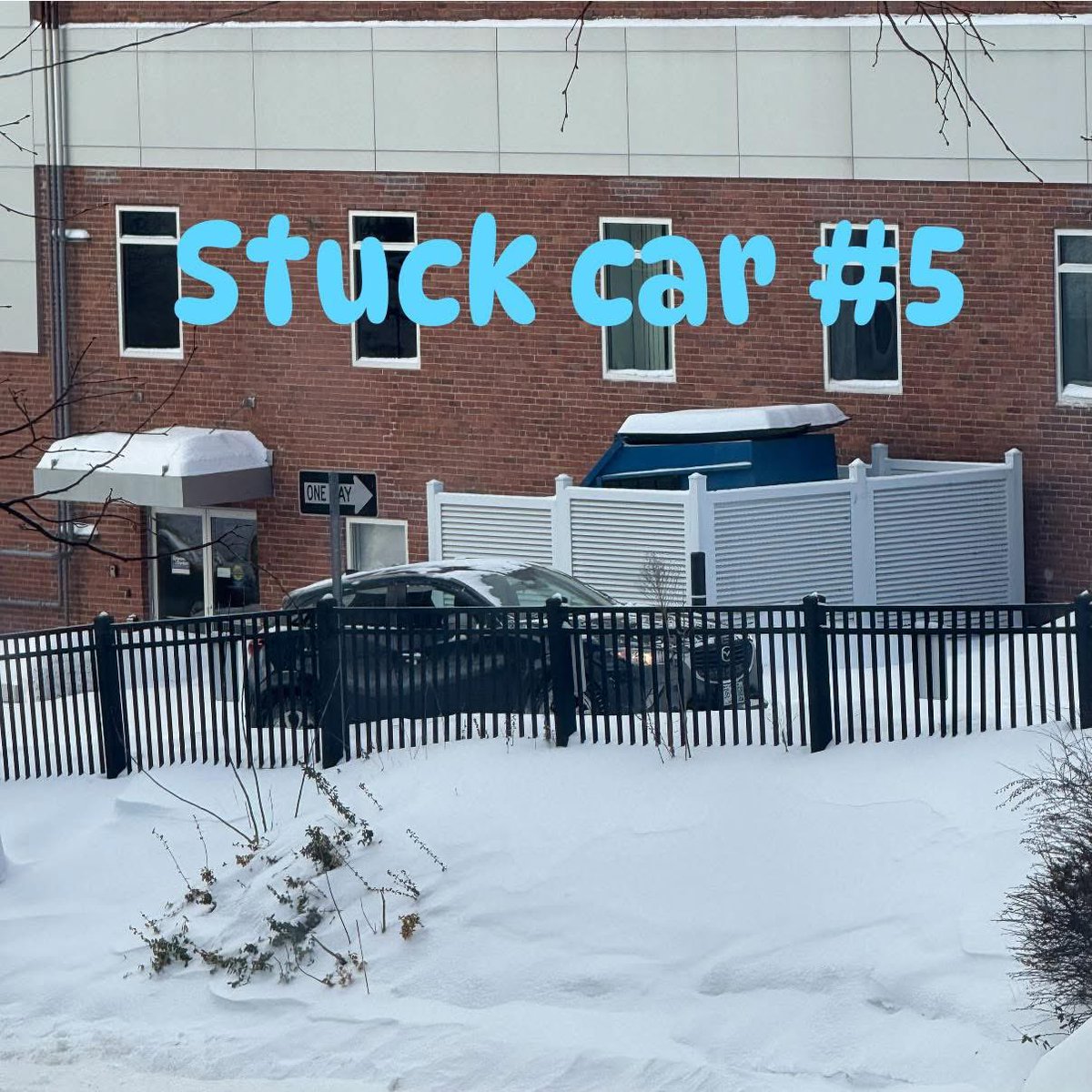 ThriveChiroNH's tweet photo. Reason #1 to go see your chiropractor today! 

When your neighbors parking lot doesn’t get plowed and you watch multiple cars needing to get pushed out of the snow…

If you’re pushing cars, come see us and get put back in line! 

#snowday #chiropractic https://t.co/u2mrtSVr04