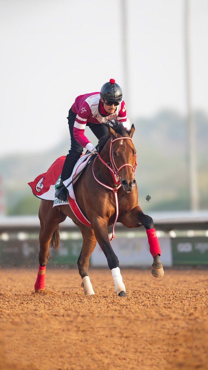 Forever Young

#シンエンペラー
#ShinEmperor
#ネオムターフC
#NeomTurfCup
#TheSaudiCap 
#كأس_السعودية_2025 
#كأس_السعودية 🇸🇦🏆