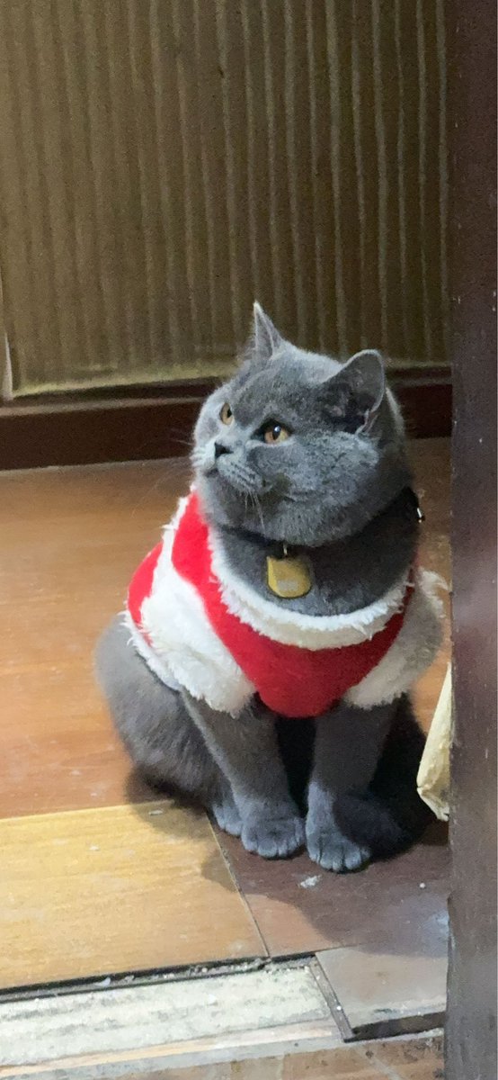 leafl1ke's tweet photo. 糍粑你不能再吃啦 小棉袄都要穿不下啦
胖宝宝 胖宝宝
还偷看我上厕所 https://t.co/FxGanc6faP
