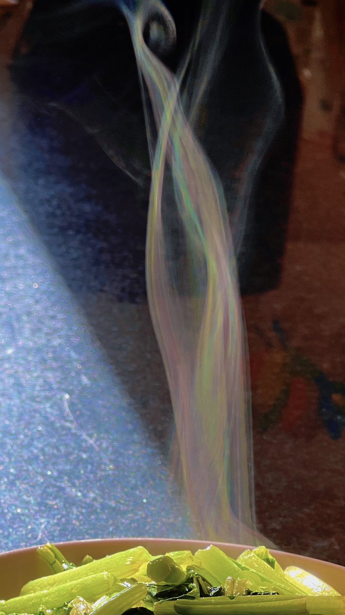 很有趣～我做的饭菜……在光的折射作用下，那些热气腾腾的烟～呈现出绚丽多彩的景象。

美与爱，都是需要时间沉淀，慢慢观察，一遍又一遍重复……直到你发现它。