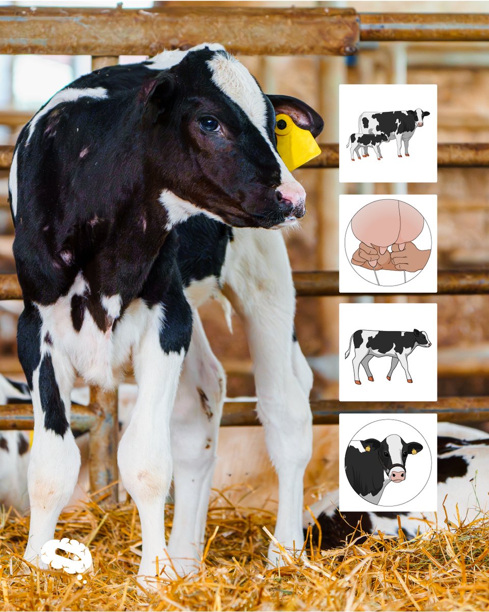 Mind the Graph tweet media