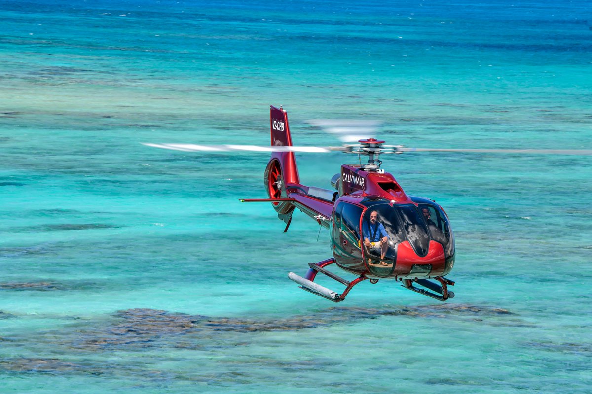 CalvinAir tweet media