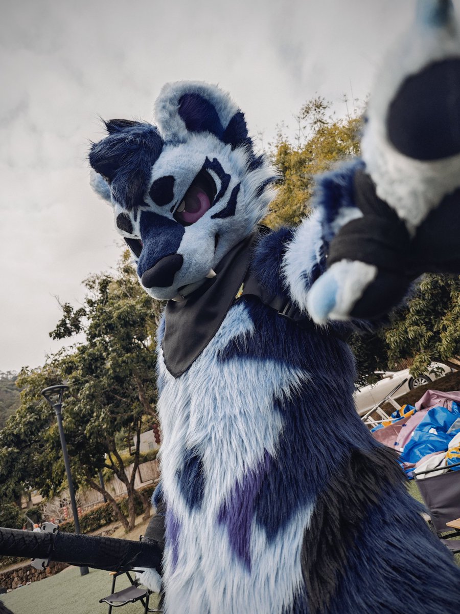 小埃同学 tweet media