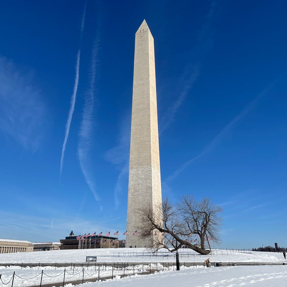 National Mall NPS tweet media