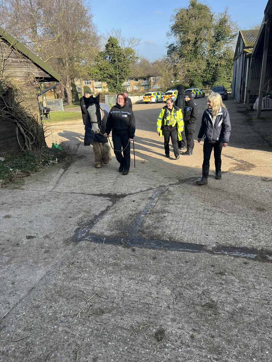 will (@will48582601) on Twitter photo Great pleasure with lots of positives from training local <a href="/HertsPolice/">Herts Police</a> with #horses and #cows this morning. Thank you for coming on to the #farm. Great pleasure with lots of positives from training local <a href="/HertsPolice/">Herts Police</a> with #horses and #cows this morning. Thank you for coming on to the #farm.