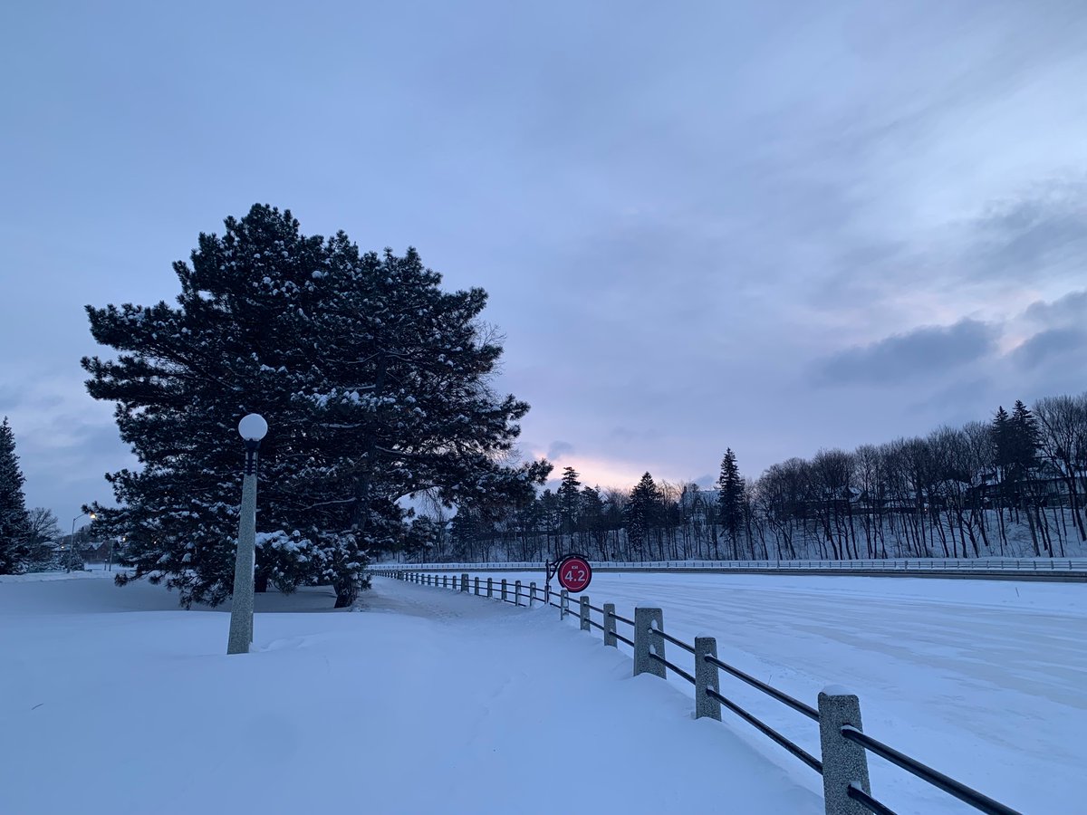 Siobhan Kirkland tweet media