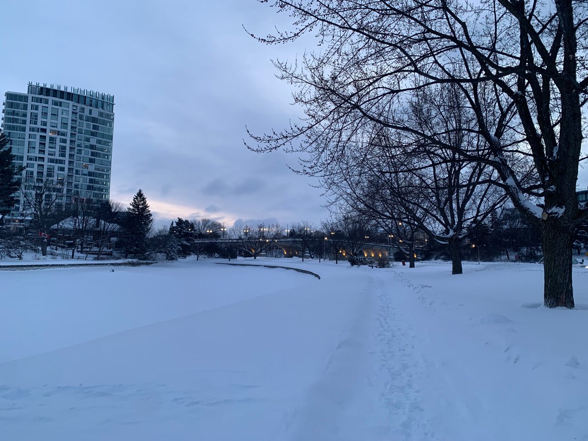 Siobhan Kirkland tweet media