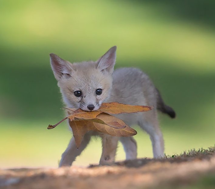 Artchick (ETH/acc) 🔥👠 tweet media