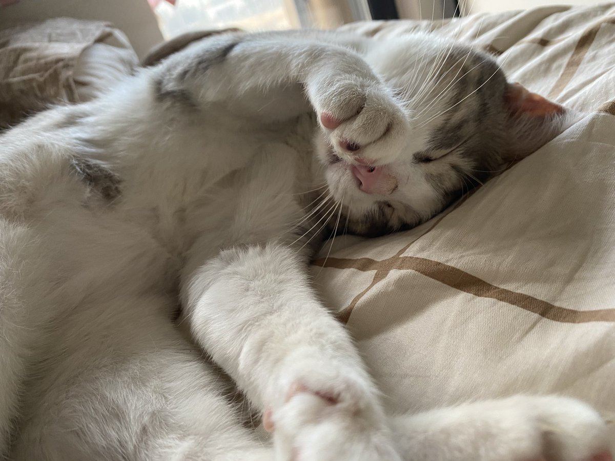 Tatniniktan bayınmısım