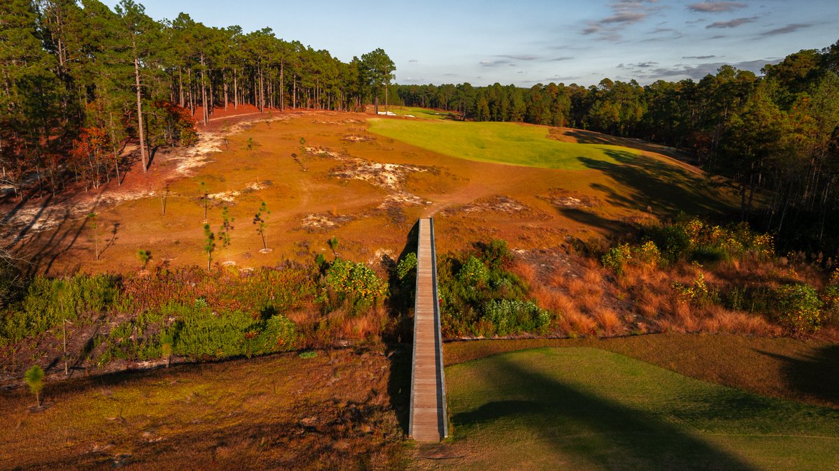 Pinehurst Resort tweet media
