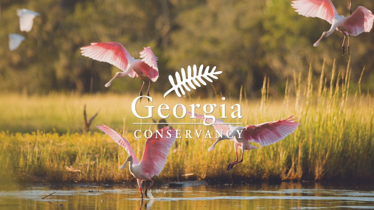 Georgia Conservancy tweet media