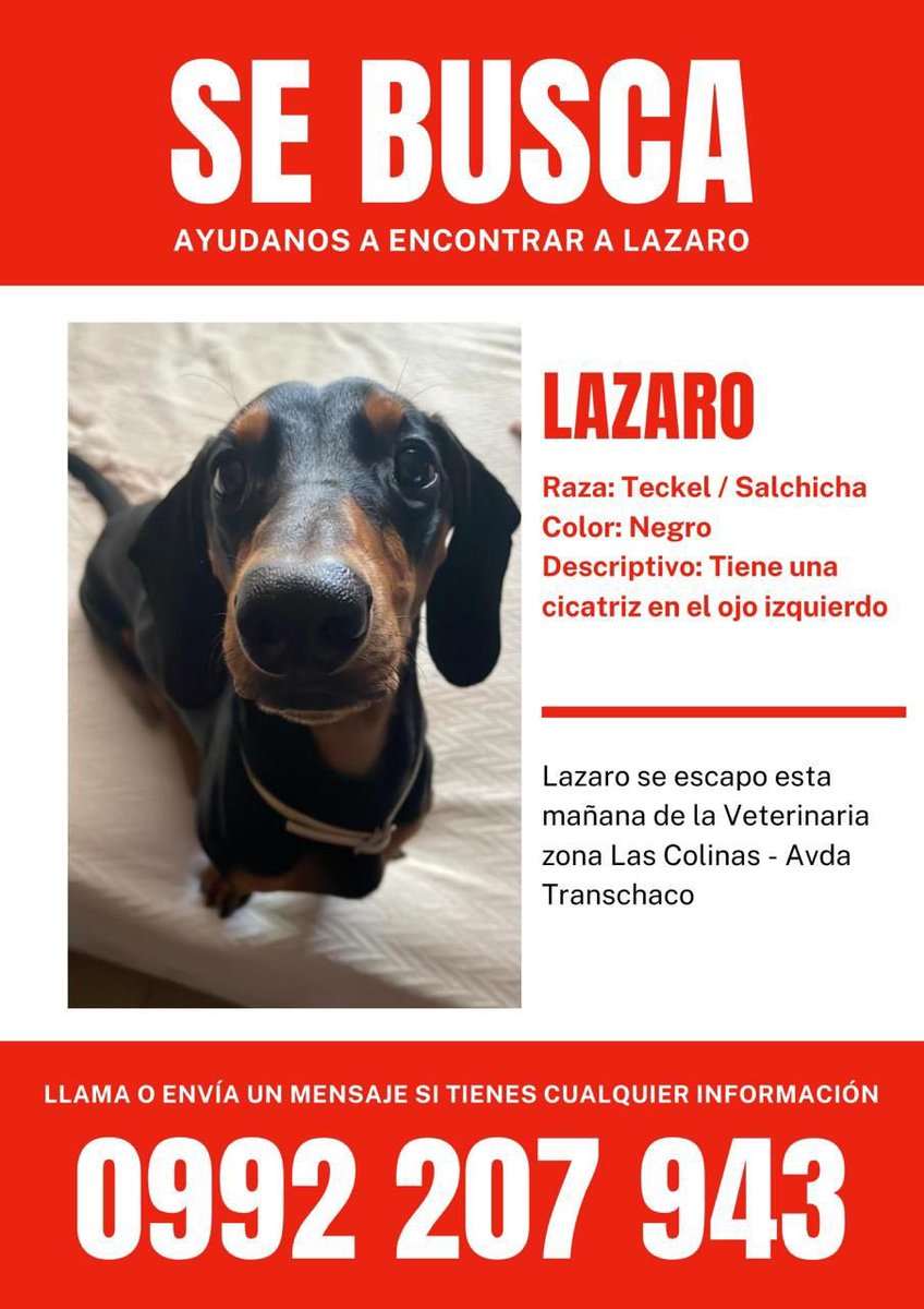 Favor RT!!!