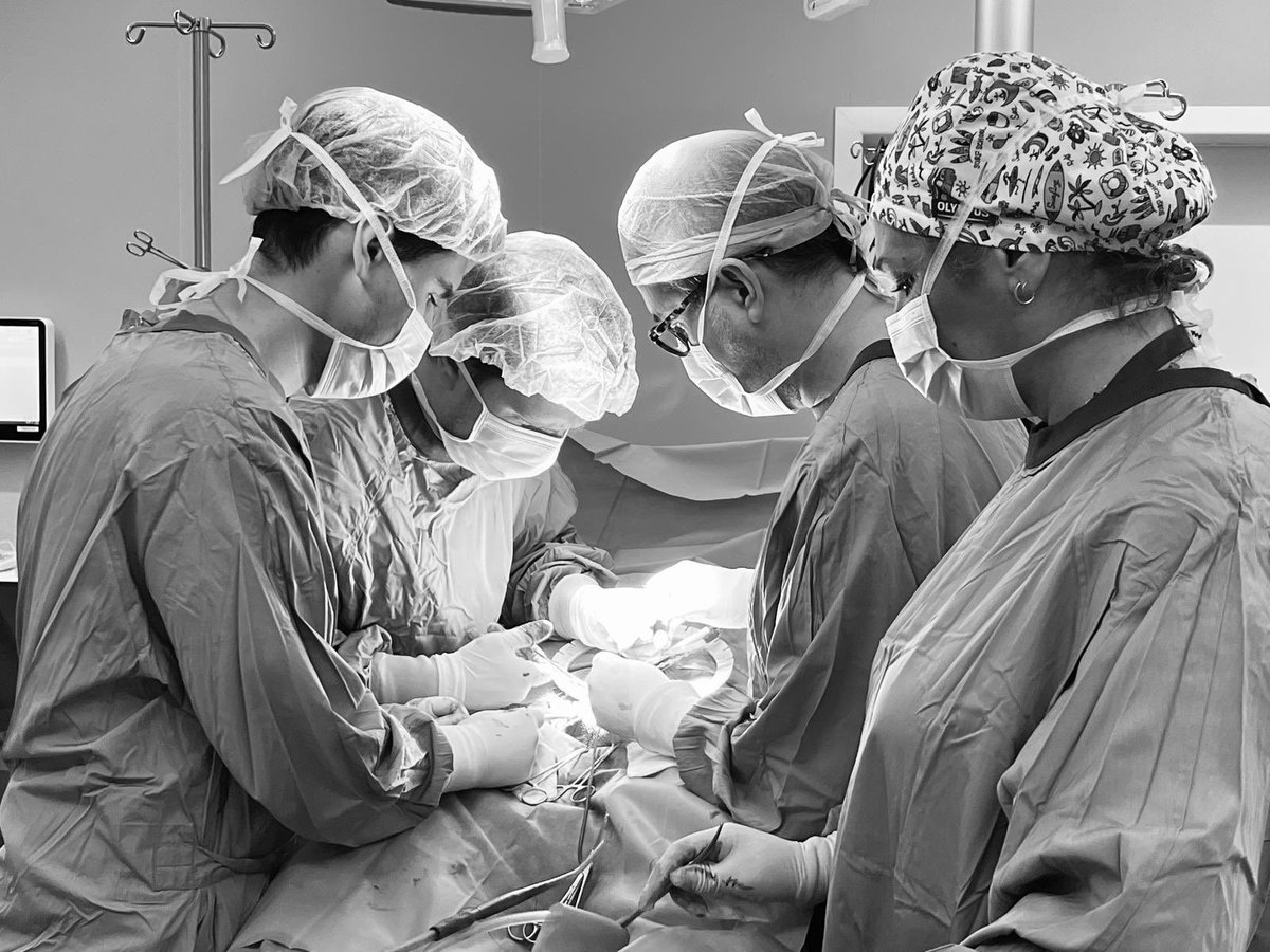 Andreu Alabat Roca tweet media