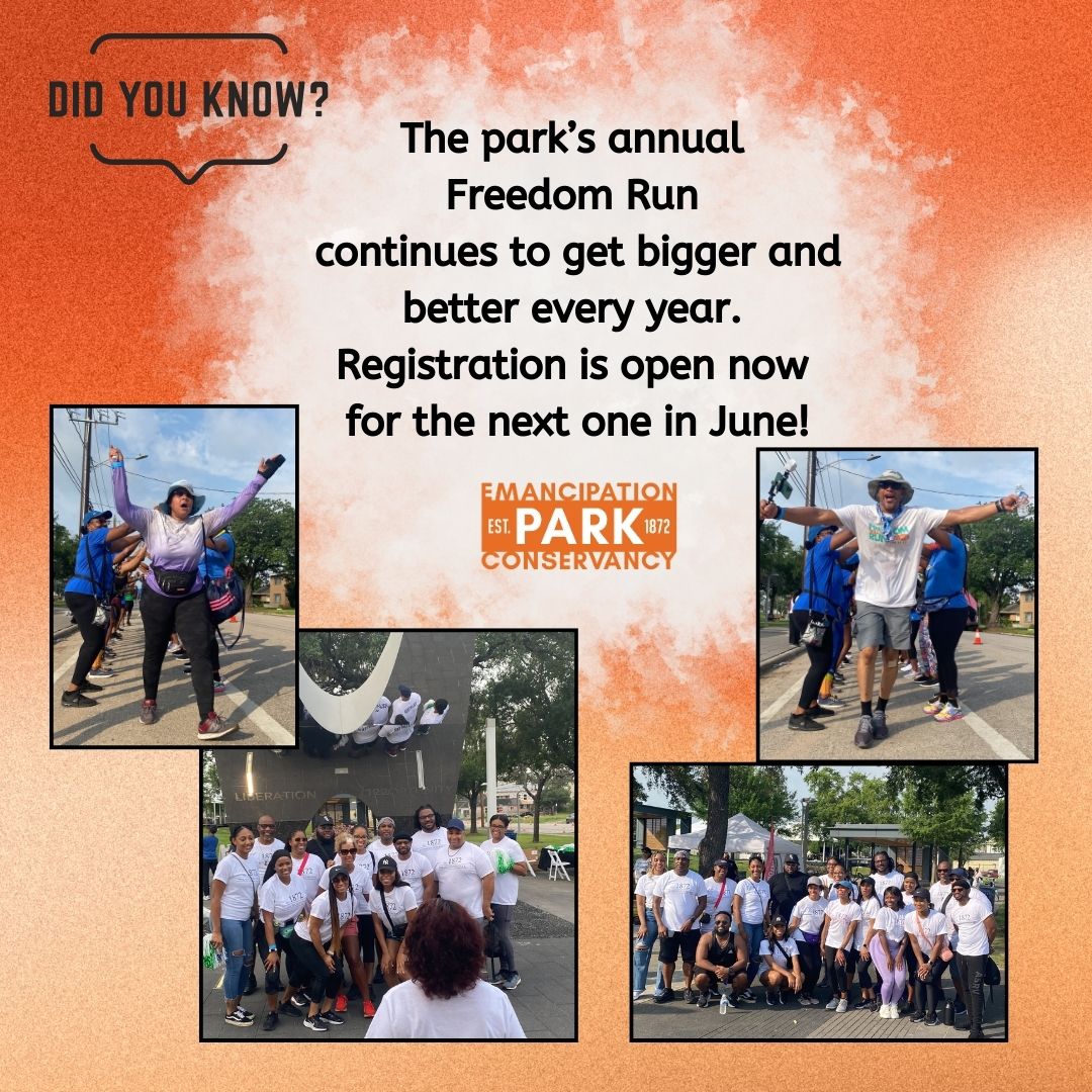 Emancipation Park Conservancy tweet media