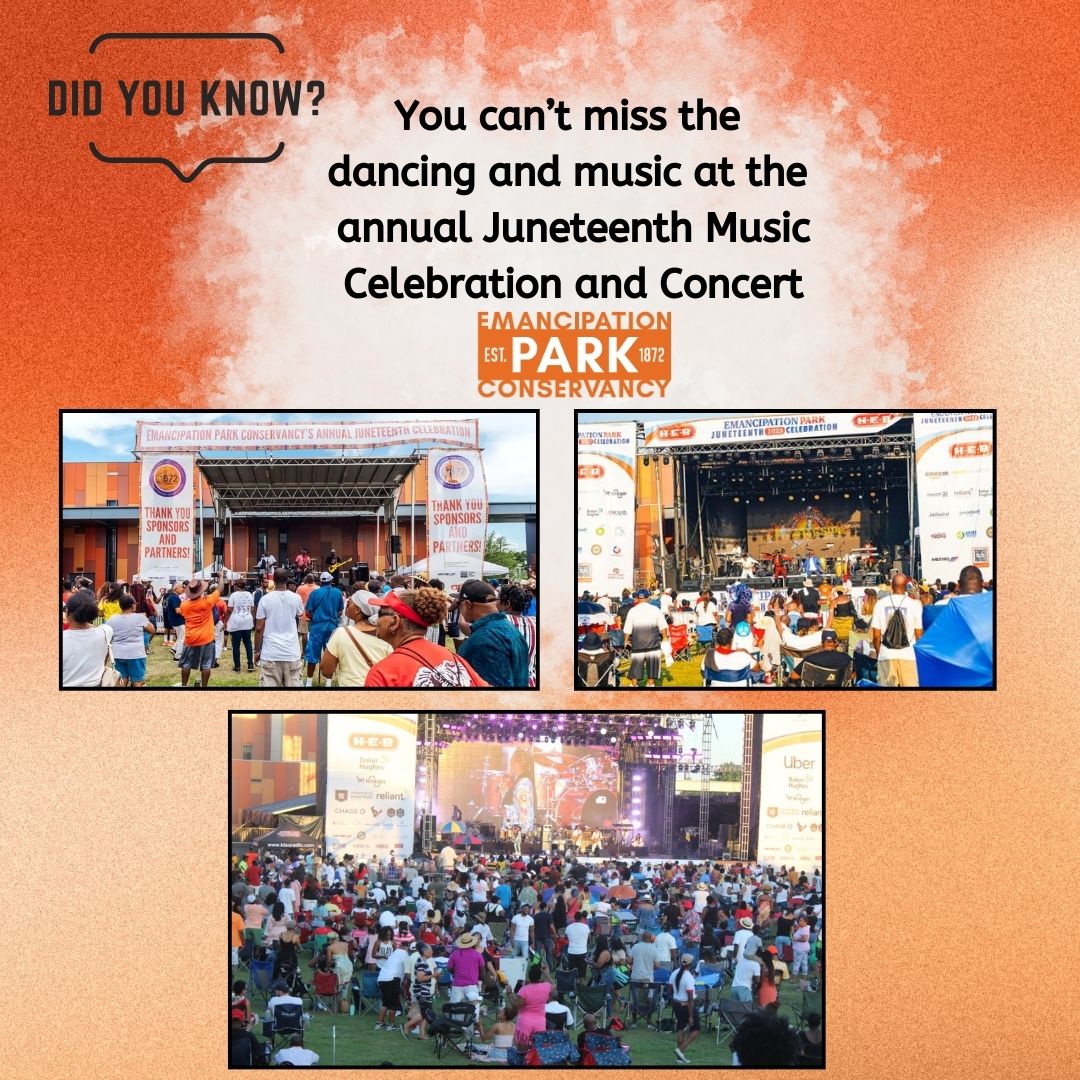 Emancipation Park Conservancy tweet media