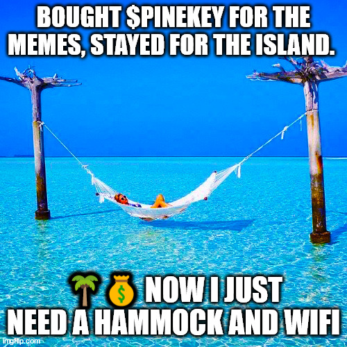 mrcryptoisland's tweet image. The Future of Crypto Meets the Real World 🌲🗝️

$PINEKEY isn’t just about charts—it’s about real ownership. A token backed by a tangible island. Early adopters will write history! 🚀🏝️

Secure your spot now.

CA GHAgf97Y4xsfRX61WoEx3b9mg6iDMQD6AsgnzEKopump

#PINEKEY #Crypto