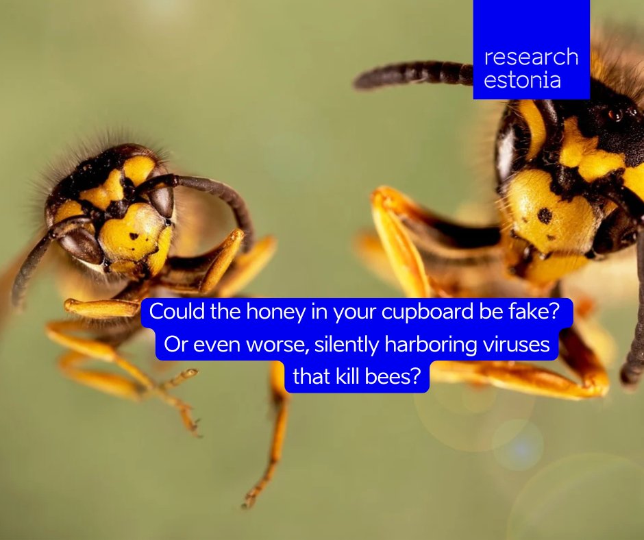 Research in Estonia tweet media