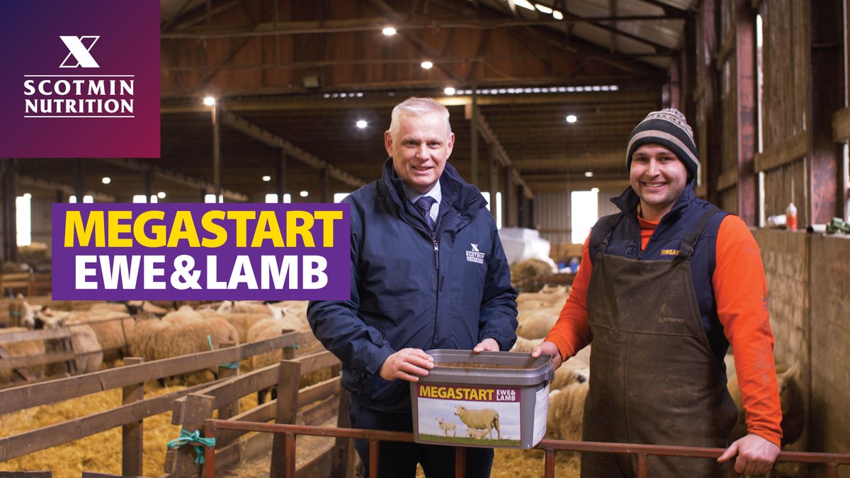 Scotmin Nutrition tweet media