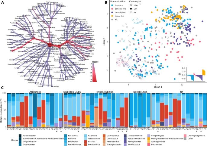 Ahmed Abdelfattah (@aabdelfattah_) on Twitter photo The cannabis #seed #microbiome The paper highlights the impact of breeding, which may lead to the loss of beneficial bacteria. I wonder if there is a link to plant chemistry. buff.ly/3PY8HdJ <a href="/cbclobato/">Carolina Lobato</a> <a href="/IsabellaKogl/">Isabella Kögl</a> <a href="/TomiSci1/">Tomi Cernava</a> <a href="/GBerg_ubt/">Gabriele Berg</a> The cannabis #seed #microbiome The paper highlights the impact of breeding, which may lead to the loss of beneficial bacteria. I wonder if there is a link to plant chemistry. buff.ly/3PY8HdJ <a href="/cbclobato/">Carolina Lobato</a> <a href="/IsabellaKogl/">Isabella Kögl</a> <a href="/TomiSci1/">Tomi Cernava</a> <a href="/GBerg_ubt/">Gabriele Berg</a>