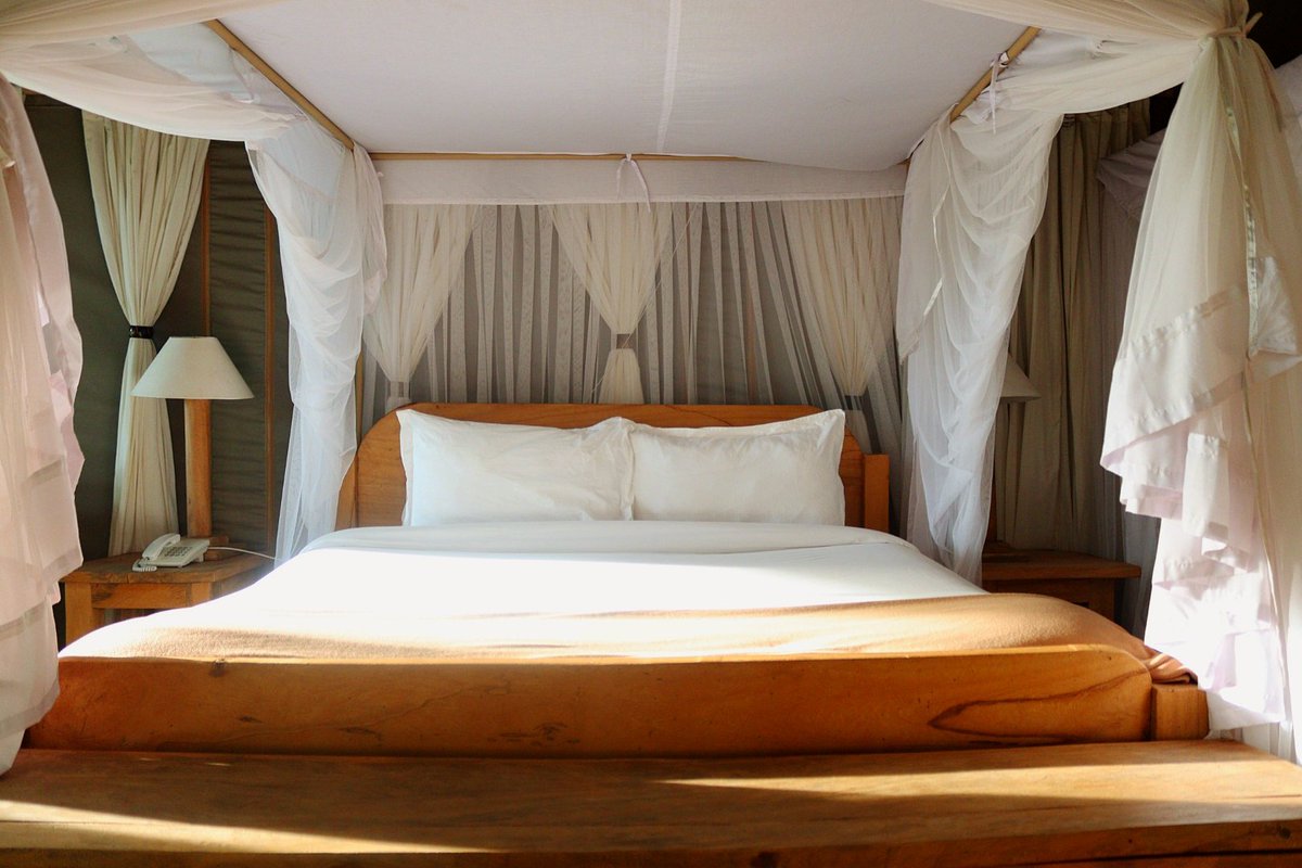 MKenyaFulani48's tweet photo. Allow me to reintroduce Mara Maisha Camp.

This is where you should be staying and/or taking your guests in the Mara. 

Different types of spacious rooms to cater for all, including families. Very good location, tents well spaced out for privacy. 

The staff are super friendly and very helpful throughout your stay. 

Enjoy some time in the pool or get some massage to relax after a long drive from Nairobi or a nice game drive in the Mara. 

If you looking to visit, hit me up for planning and bookings. 

📞 0752 295 775/0708 826 877.