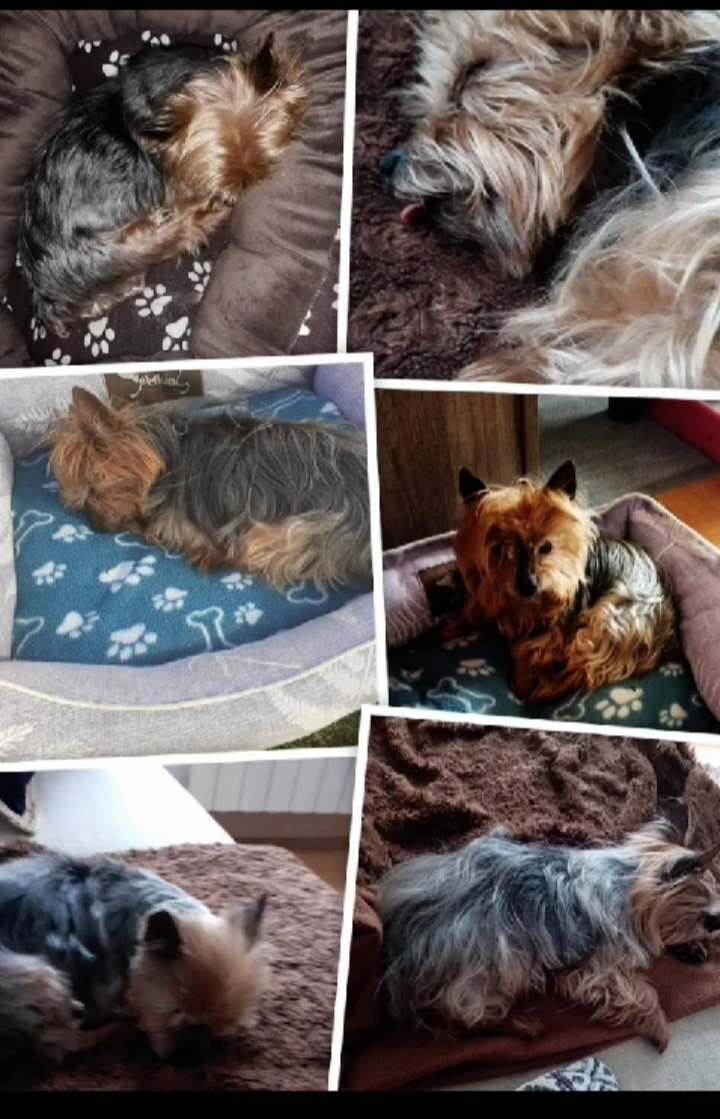 Para tres años que nos dejastes,nunca te olvidare😍😍